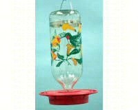 Hummingbird Feeders And Accessories Birdchat