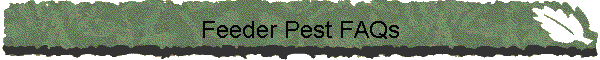 Feeder Pest FAQs