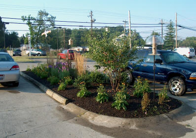 Parking Lot Garden 2