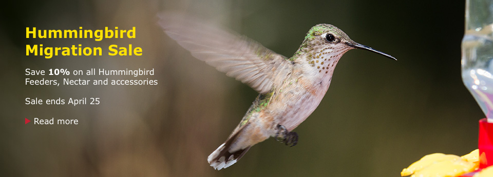 Hummingbird Migration Sale