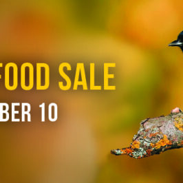 Fall Bird Food Sale!