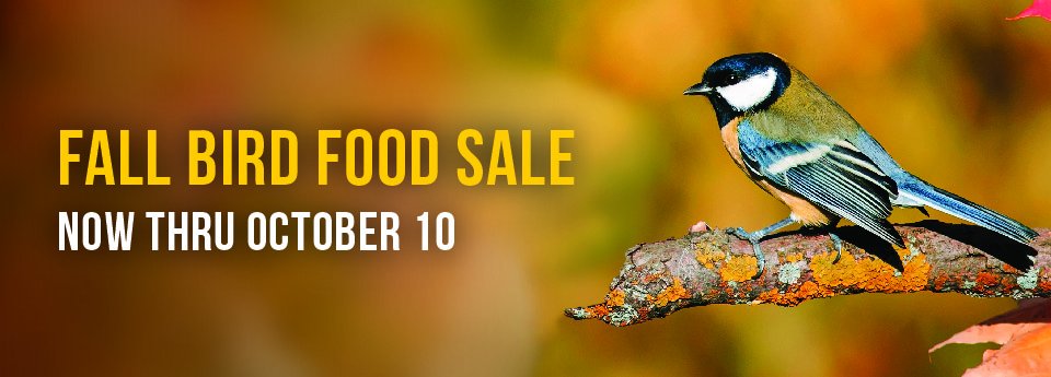 Fall Bird Food Sale!