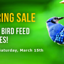 Spring Bird Food Sale At Wild About Birds!